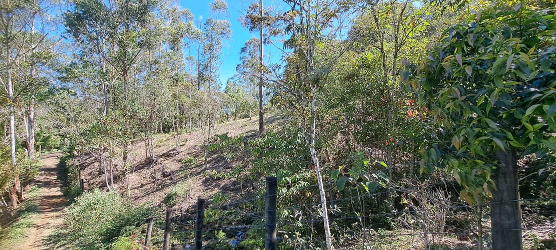 Lote en venta en Cabeceras De Llanogrande, Rionegro, 12900 m² · foto 9 de 17