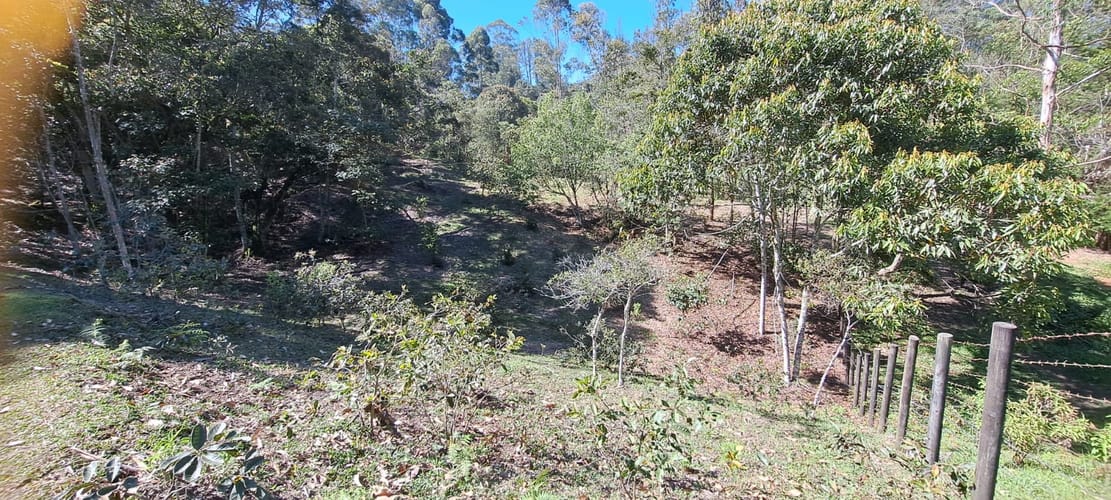 Lote en venta en Cabeceras De Llanogrande, Rionegro, 12900 m² · foto 10 de 17