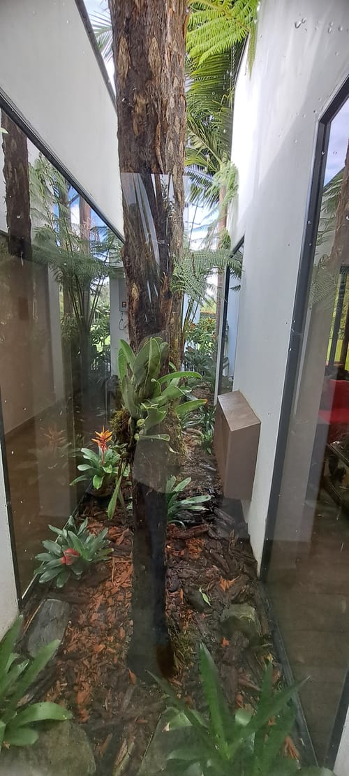 Casa de 4 alcobas en venta en Llano Grande, Rionegro · foto 9 de 20