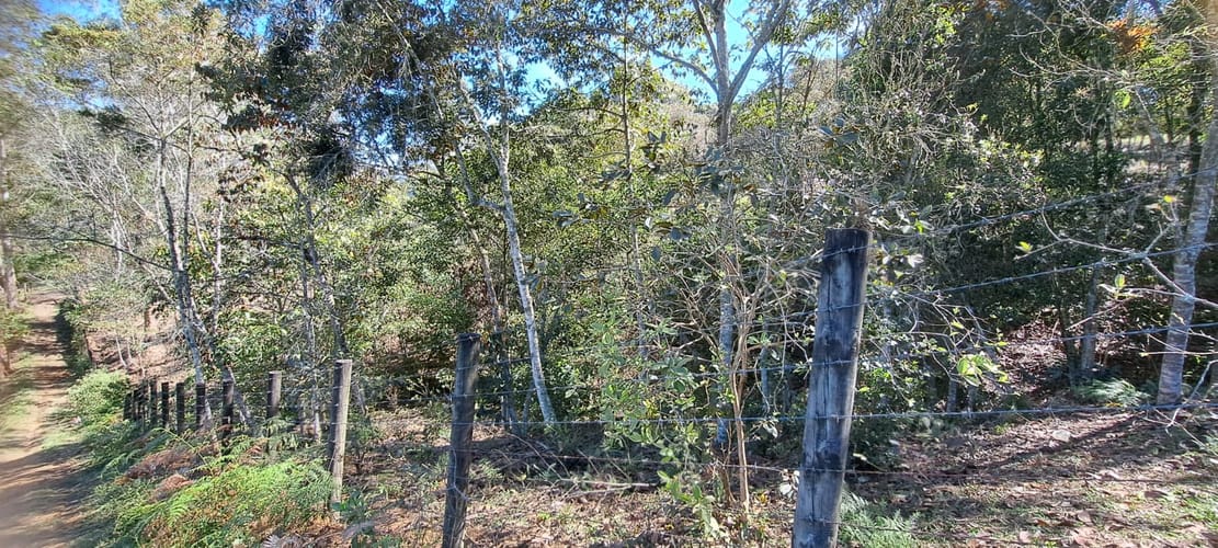 Lote en venta en Cabeceras De Llanogrande, Rionegro, 12900 m² · foto 13 de 17