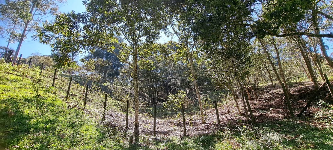 Lote en venta en Cabeceras De Llanogrande, Rionegro, 12900 m² · foto 14 de 17