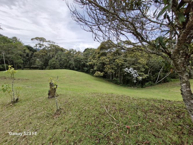 Lote en venta en Los Salados, El Retiro, 11000 m² · foto 11 de 14