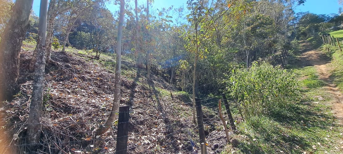 Lote en venta en Cabeceras De Llanogrande, Rionegro, 12900 m² · foto 15 de 17