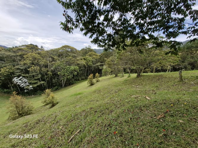 Lote en venta en Los Salados, El Retiro, 11000 m² · foto 12 de 14
