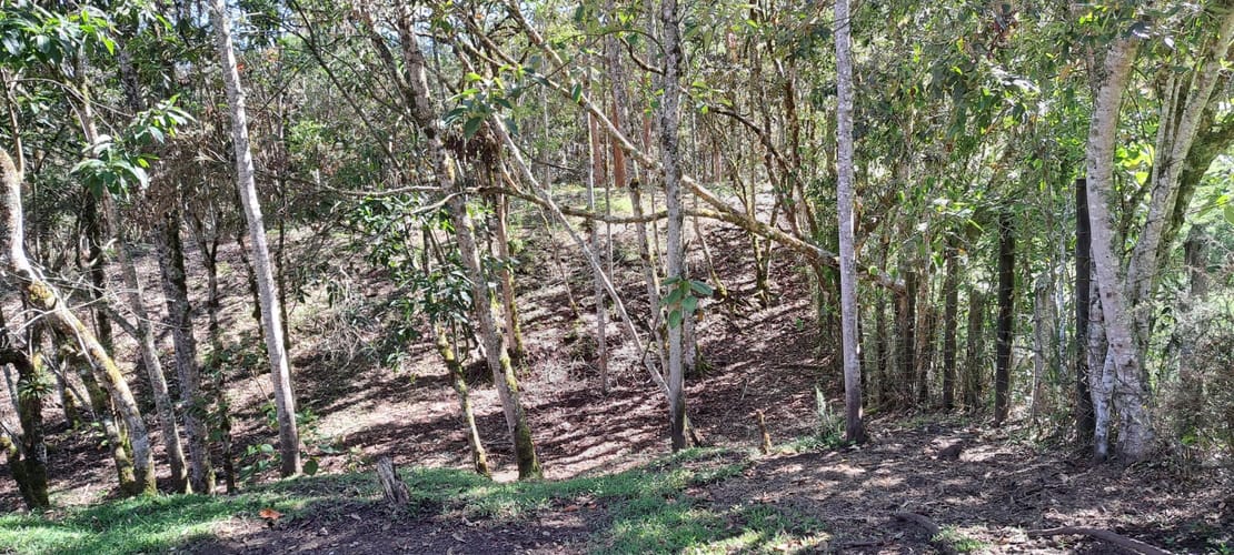 Lote en venta en Cabeceras De Llanogrande, Rionegro, 12900 m² · foto 16 de 17