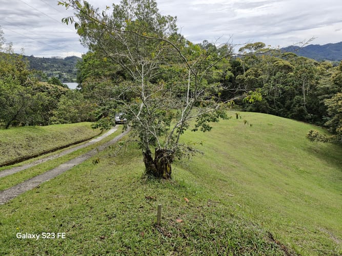 Lote en venta en Los Salados, El Retiro, 11000 m² · foto 13 de 14