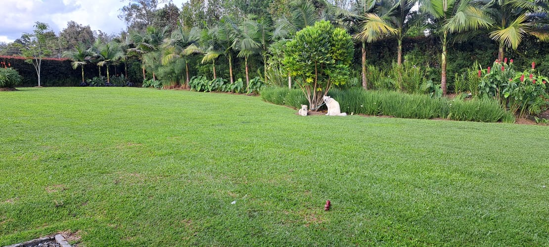 Casa de 4 alcobas en venta en Llano Grande, Rionegro · foto 15 de 20