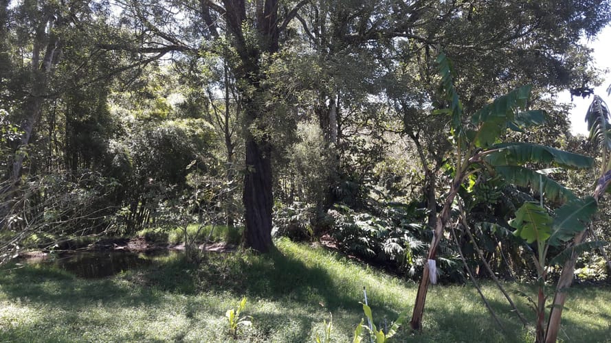 Lote en venta en El Retiro, 16599 m² · foto 3 de 8