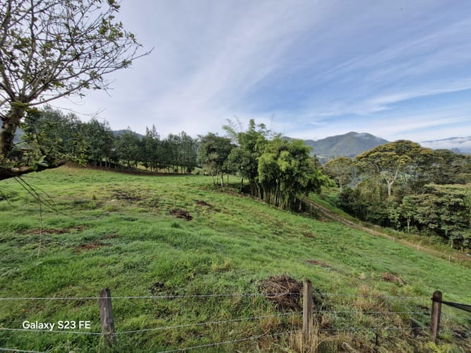 Lote en venta en El Cerro, El Carmen de Viboral, 7000 m² · foto 2 de 13