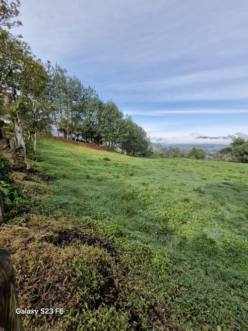 Lote en venta en El Cerro, El Carmen de Viboral, 7000 m² · foto 3 de 13