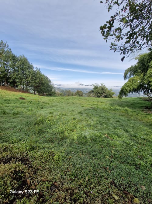 Lote en venta en El Cerro, El Carmen de Viboral, 7000 m² · foto 4 de 13