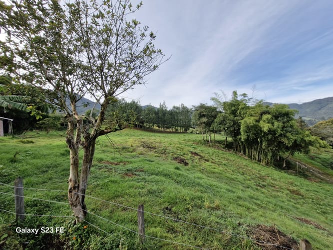 Lote en venta en El Cerro, El Carmen de Viboral, 7000 m² · foto 5 de 13