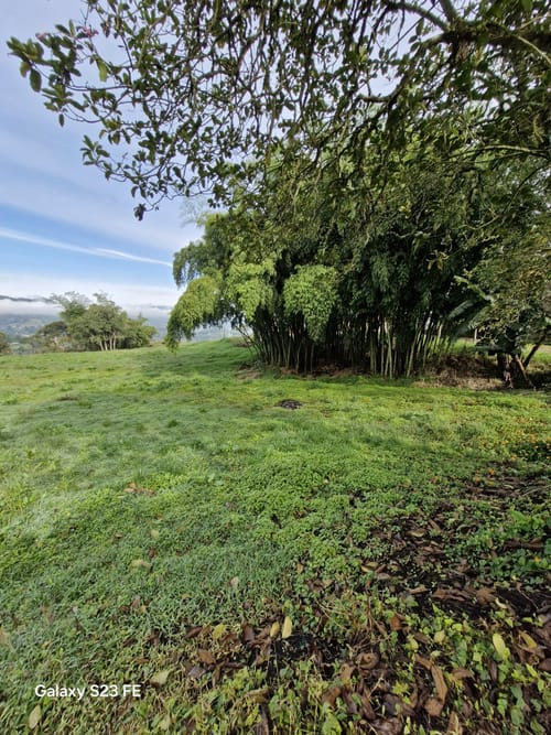Lote en venta en El Cerro, El Carmen de Viboral, 7000 m² · foto 7 de 13