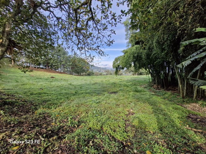 Lote en venta en El Cerro, El Carmen de Viboral, 7000 m² · foto 8 de 13