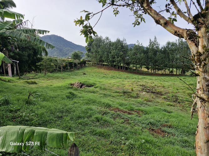 Lote en venta en El Cerro, El Carmen de Viboral, 7000 m² · foto 9 de 13