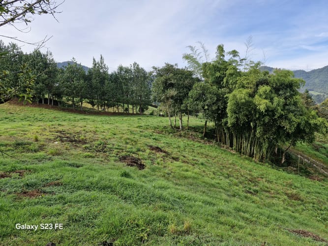 Lote en venta en El Cerro, El Carmen de Viboral, 7000 m² · foto 10 de 13