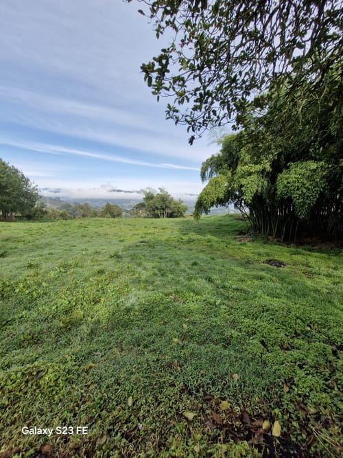 Lote en venta en El Cerro, El Carmen de Viboral, 7000 m² · foto 11 de 13