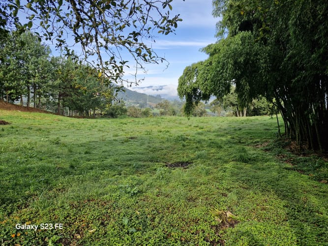 Lote en venta en El Cerro, El Carmen de Viboral, 7000 m² · foto 12 de 13