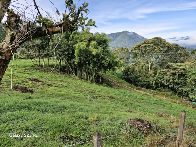 Lote en venta en El Cerro, El Carmen de Viboral, 7000 m² · foto 13 de 13