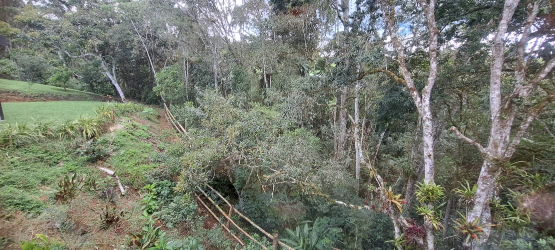 Finca en arriendo en El Capiro, Rionegro, 3000 m² · foto 11 de 16