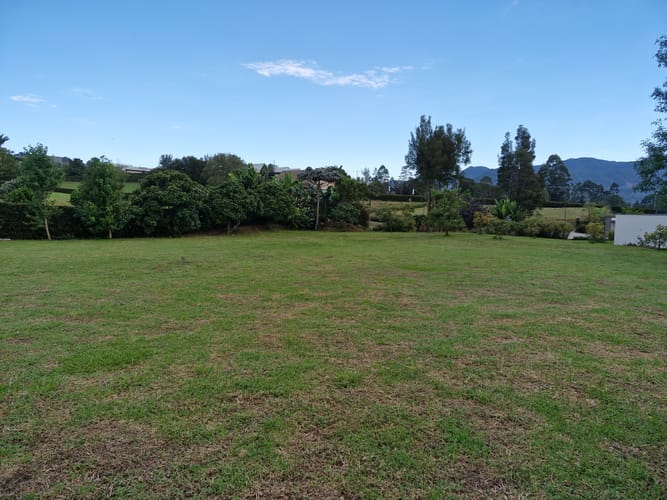 Lote en venta en Guamito, La Ceja, 2500 m² · foto 6 de 14