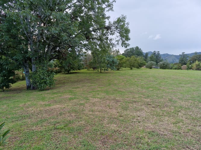 Lote en venta en Guamito, La Ceja, 2500 m² · foto 10 de 14