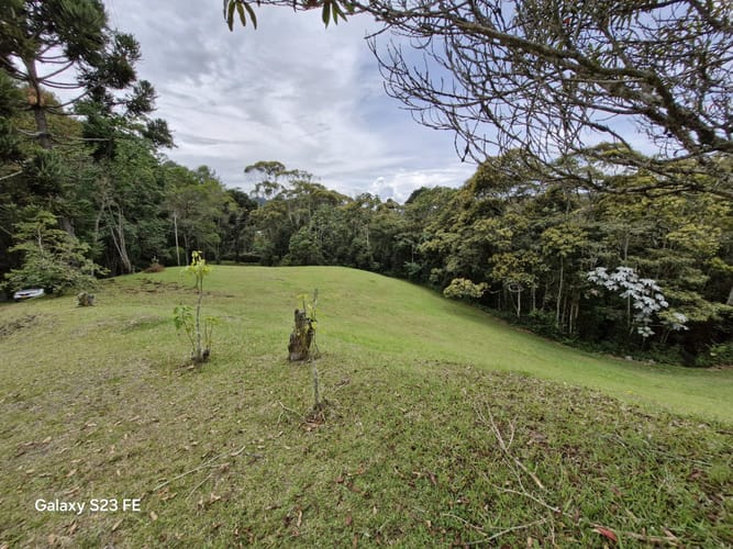 Lote en venta en Los Salados, El Retiro, 11000 m² · foto 6 de 14