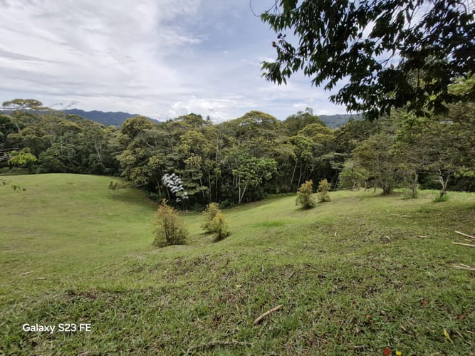 Lote en venta en Los Salados, El Retiro, 11000 m² · foto 7 de 14