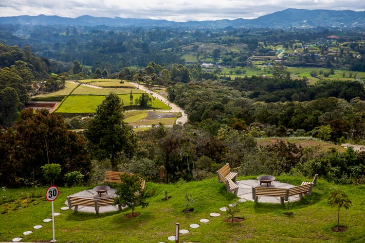 Lote en venta en El Capiro, Rionegro, 6152 m² · foto 6 de 15