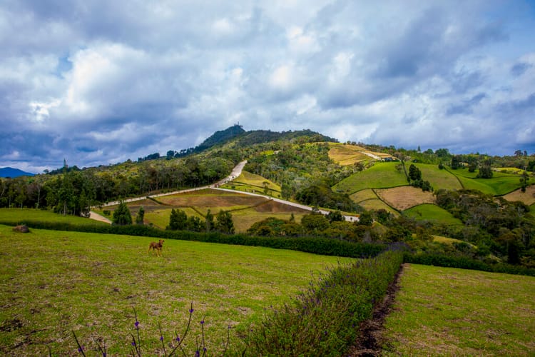 Lote en venta en El Capiro, Rionegro, 6152 m² · foto 7 de 15