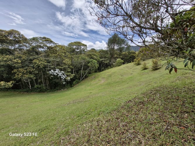 Lote en venta en Los Salados, El Retiro, 11000 m² · foto 11 de 14