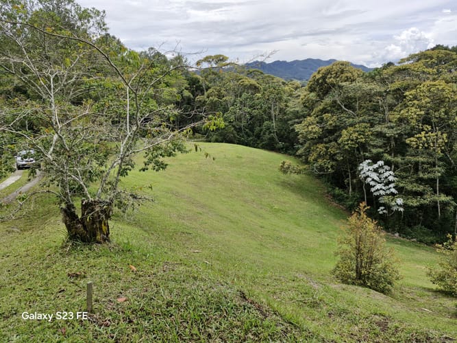 Lote en venta en Los Salados, El Retiro, 11000 m² · foto 12 de 14