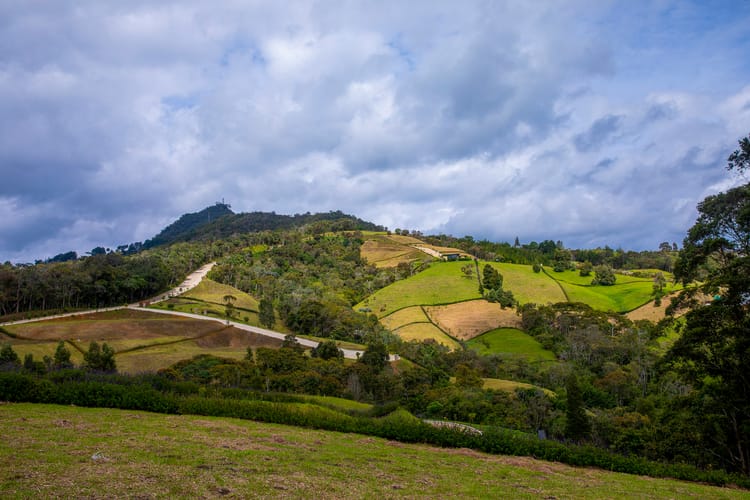 Lote en venta en El Capiro, Rionegro, 6152 m² · foto 10 de 15