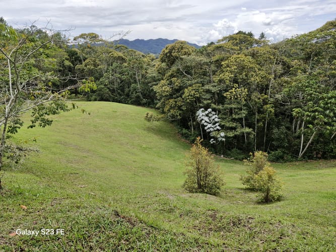 Lote en venta en Los Salados, El Retiro, 11000 m² · foto 14 de 14