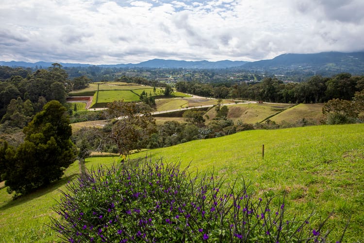 Lote en venta en El Capiro, Rionegro, 6152 m² · foto 11 de 15