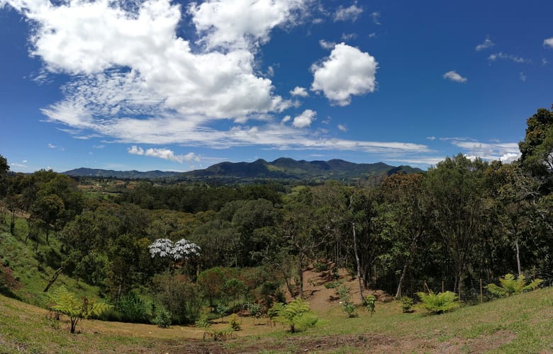 Lote en venta en El Capiro, Rionegro, 6152 m² · foto 15 de 15