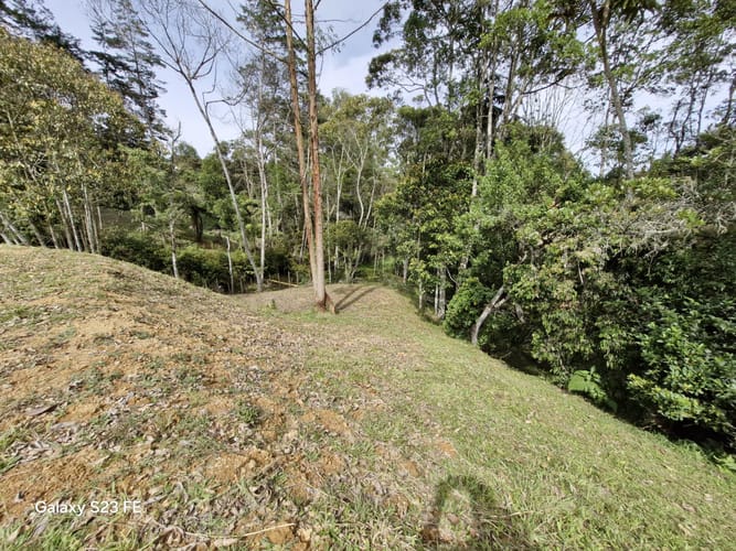 Lote en venta en Quirama, El Carmen de Viboral, 3309 m² · foto 7 de 16