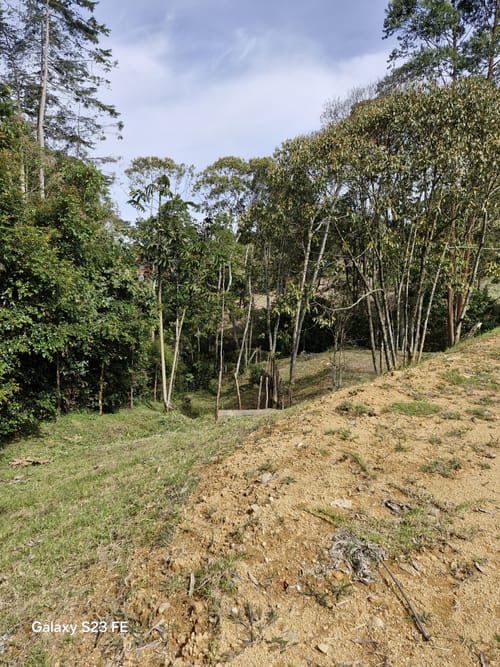 Lote en venta en Quirama, El Carmen de Viboral, 3309 m² · foto 10 de 16