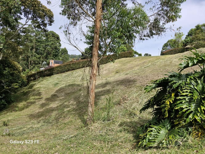 Lote en venta en Quirama, El Carmen de Viboral, 3309 m² · foto 11 de 16