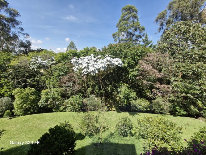 Casa de 4 alcobas en venta en El Tablazo, Rionegro · foto 7 de 24