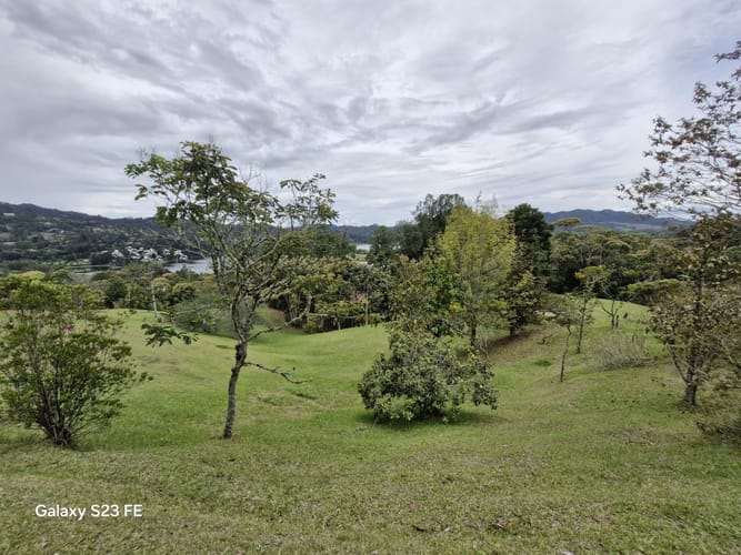 Lote en venta en Los Salados, El Retiro, 15540 m² · foto 6 de 22