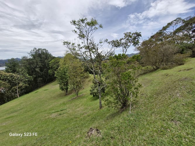 Lote en venta en Los Salados, El Retiro, 15540 m² · foto 7 de 22