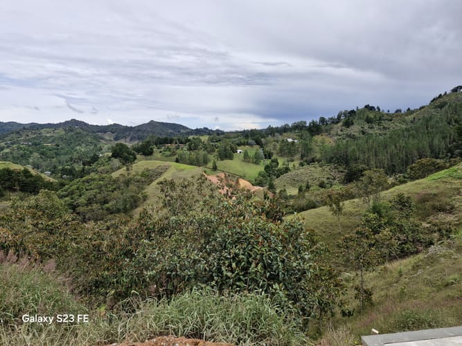 Lote en venta en Pantanillo, El Retiro, 1870 m² · foto 9 de 12