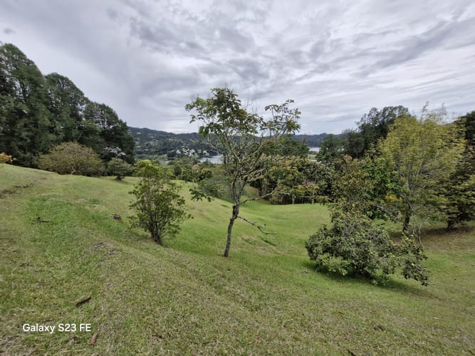 Lote en venta en Los Salados, El Retiro, 15540 m² · foto 10 de 22
