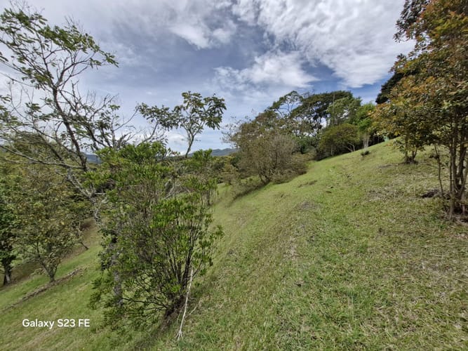 Lote en venta en Los Salados, El Retiro, 15540 m² · foto 11 de 22