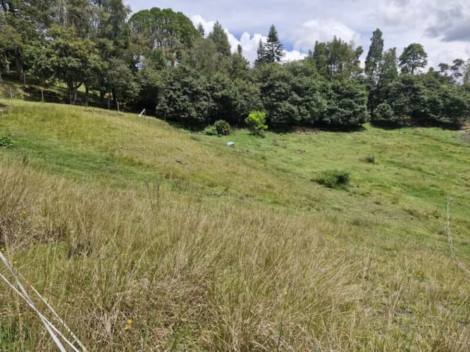 Lote en venta en Pantanillo, El Retiro, 2477 m² · foto 5 de 7
