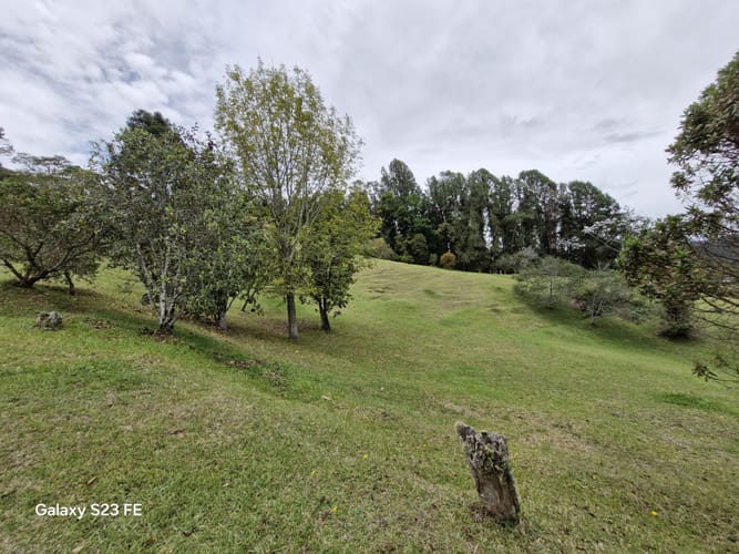 Lote en venta en Los Salados, El Retiro, 15540 m² · foto 13 de 22