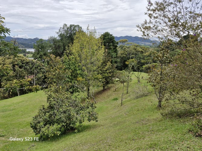 Lote en venta en Los Salados, El Retiro, 15540 m² · foto 15 de 22