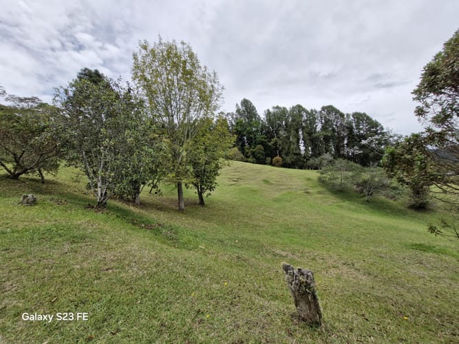 Lote en venta en Los Salados, El Retiro, 15540 m² · foto 16 de 22