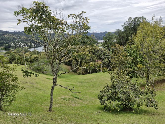 Lote en venta en Los Salados, El Retiro, 15540 m² · foto 19 de 22